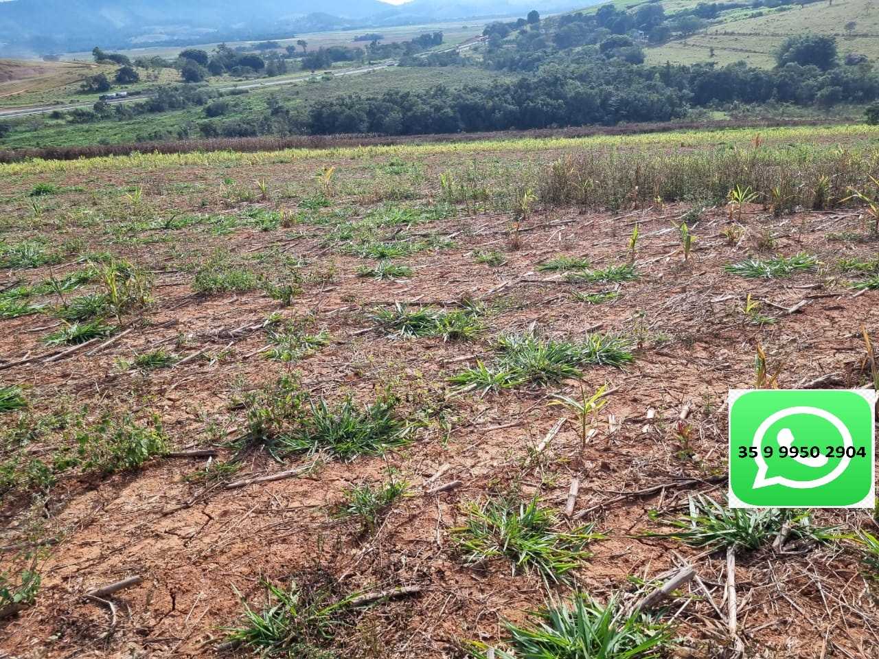 Chácara à venda com 1 quarto, 1600000m² - Foto 9