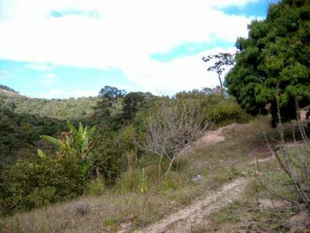 Terreno, 22 hectares - Foto 2