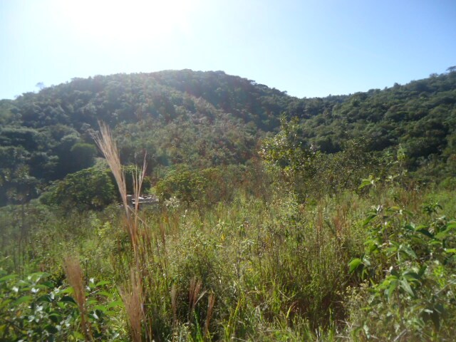 Terreno, 22 hectares - Foto 4