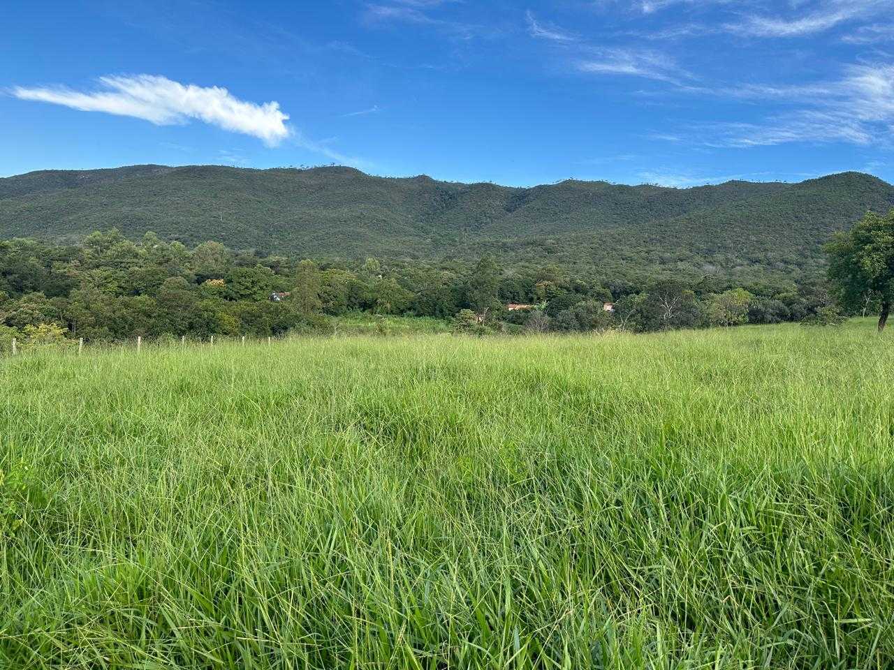 Chácara à venda com 1 quarto, 95000m² - Foto 9