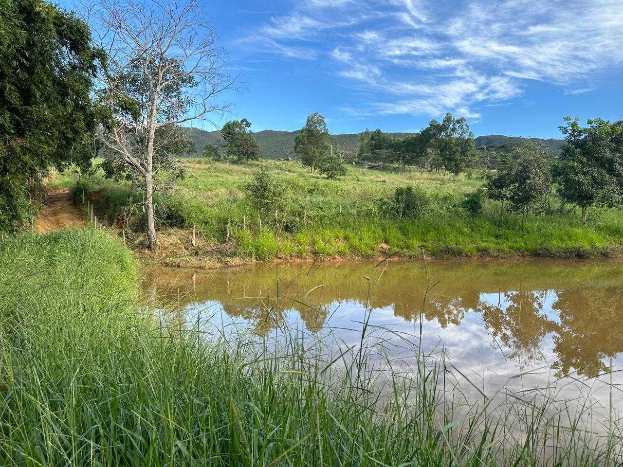 Chácara à venda com 1 quarto, 95000m² - Foto 10