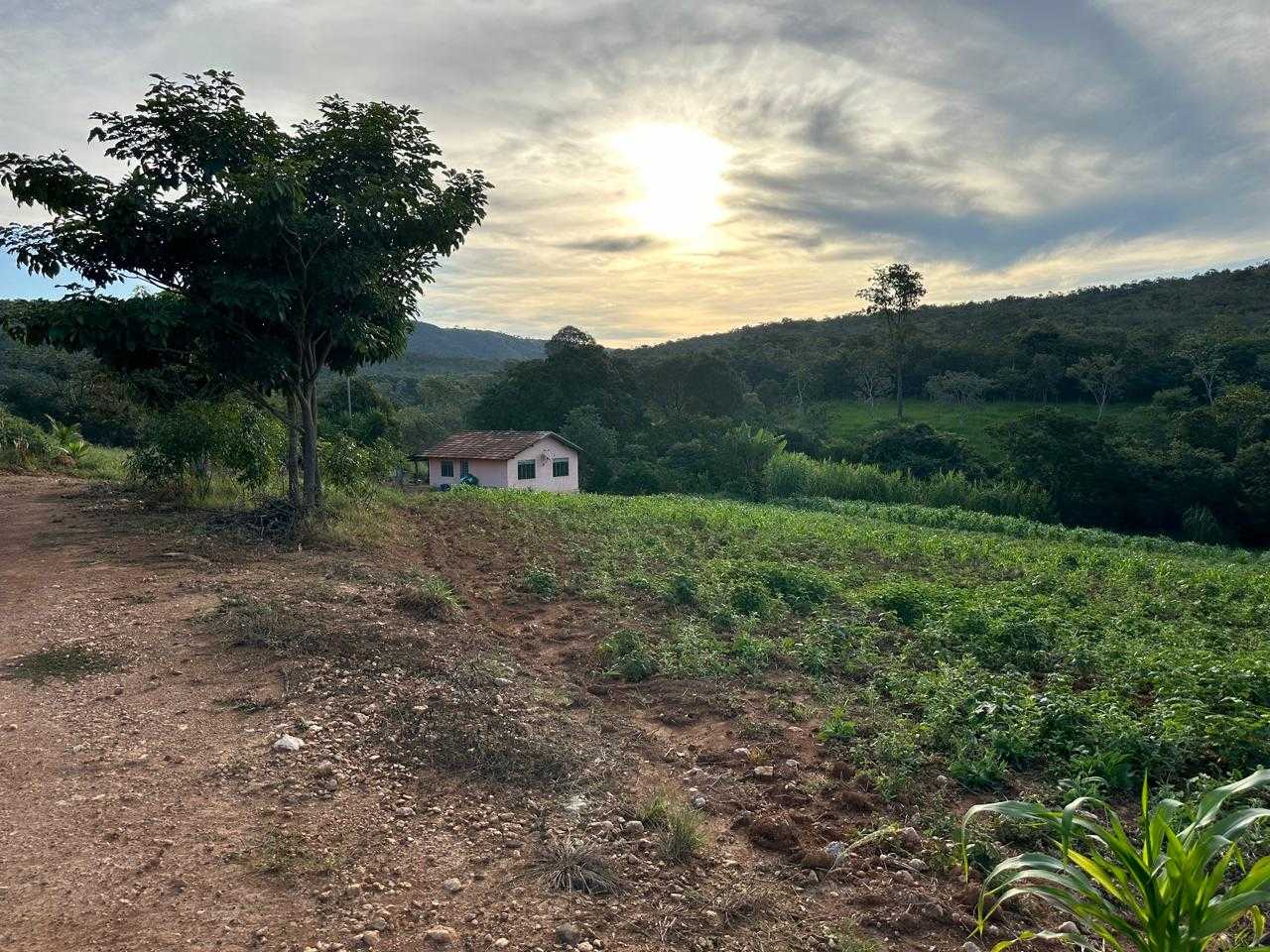 Chácara à venda com 1 quarto, 95000m² - Foto 2