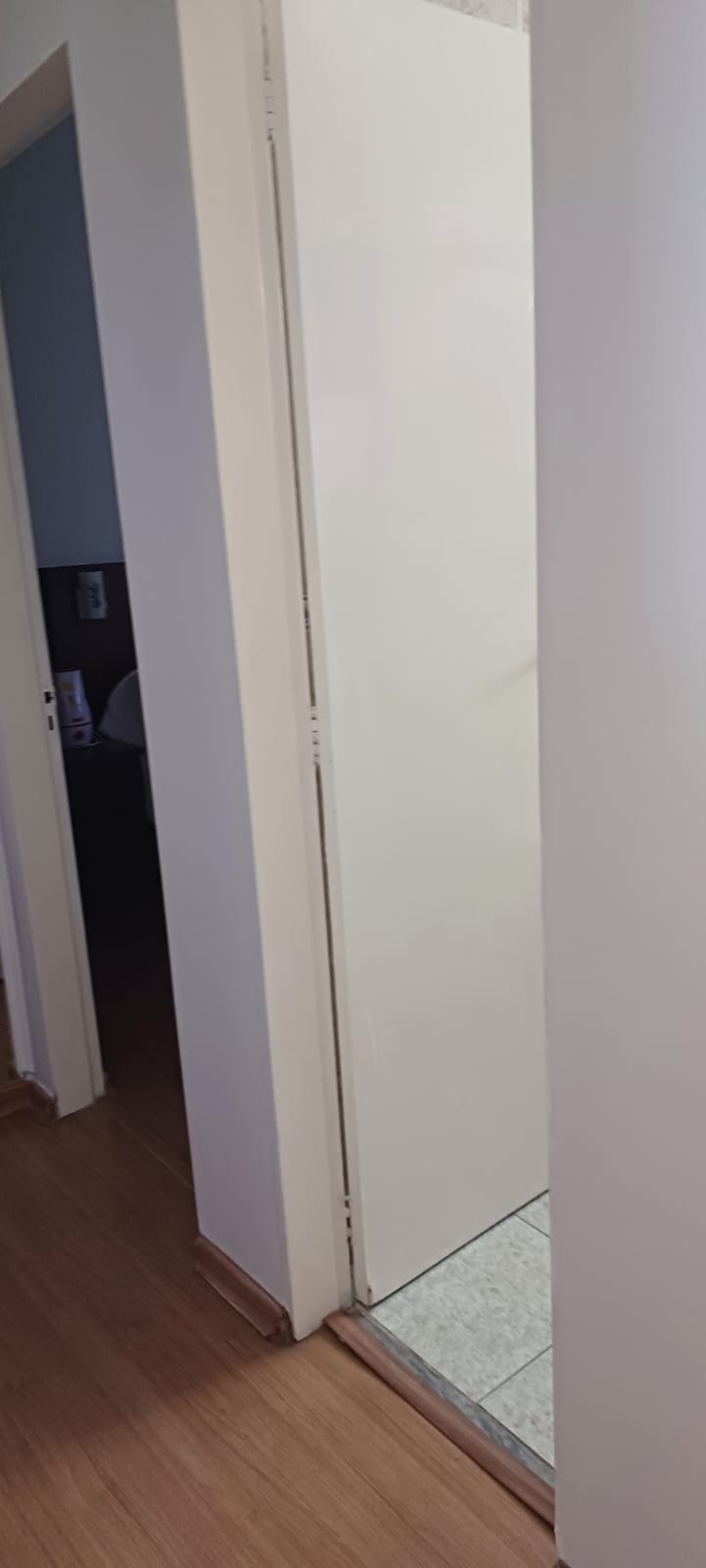 Apartamento à venda com 3 quartos, 75m² - Foto 24