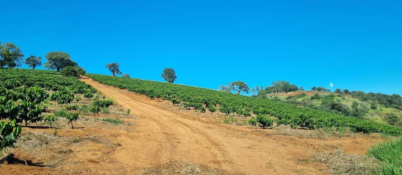 Chácara à venda com 4 quartos, 1130000m² - Foto 1