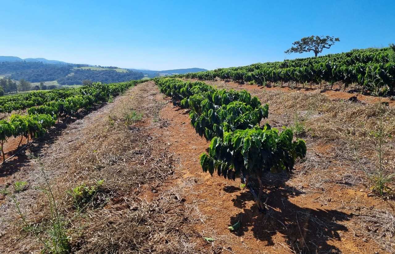 Chácara à venda com 4 quartos, 1130000m² - Foto 10