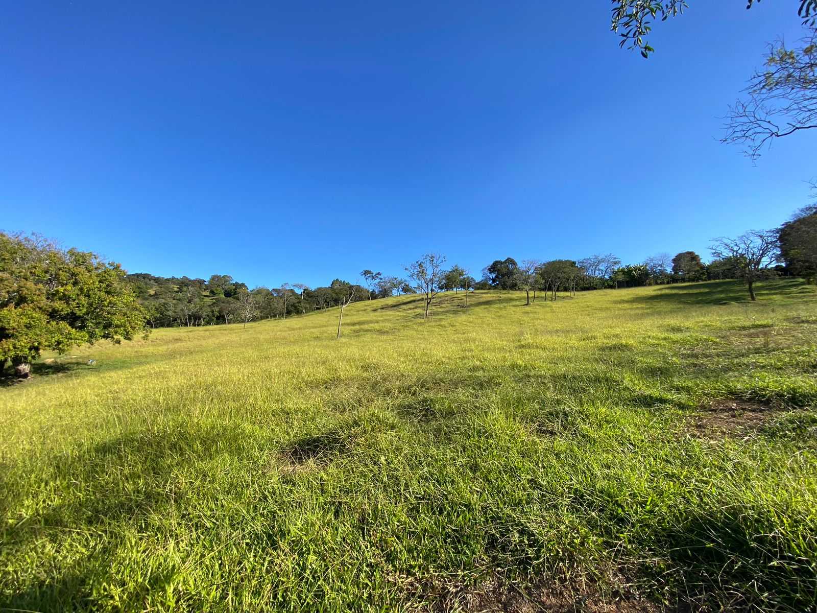 Terreno à venda, 360m² - Foto 1