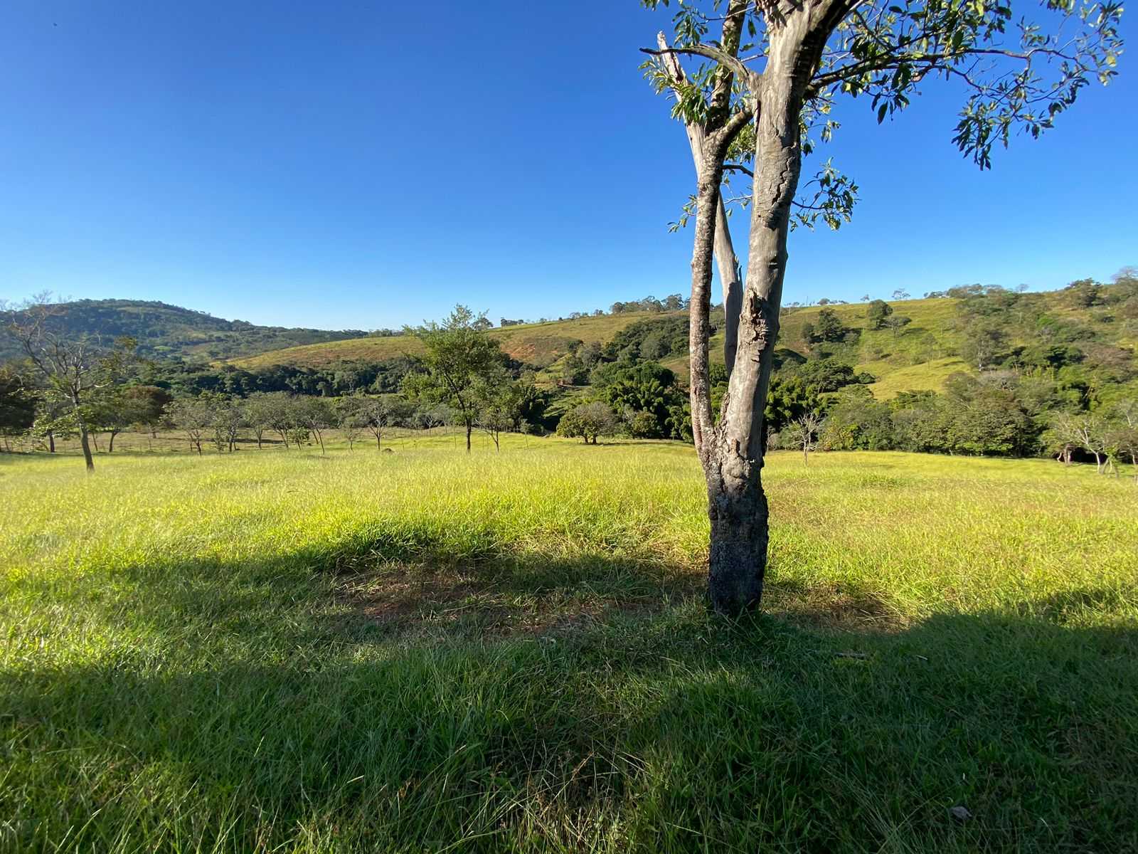 Terreno à venda, 360m² - Foto 4