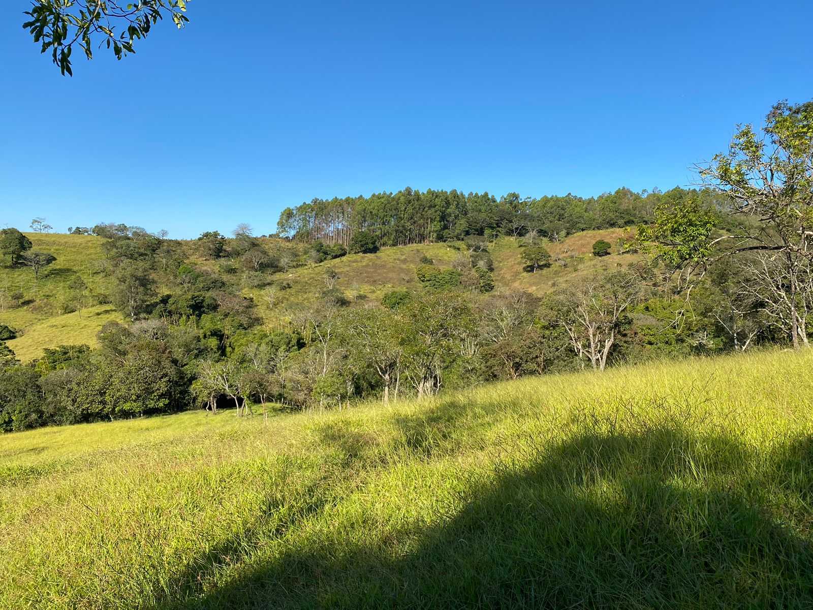 Terreno à venda, 360m² - Foto 5