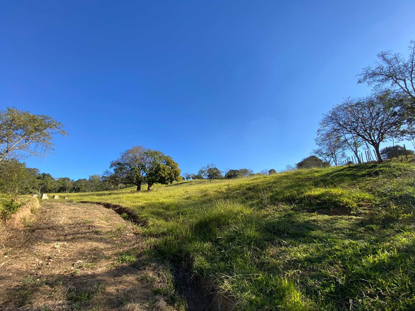 Terreno à venda, 360m² - Foto 6