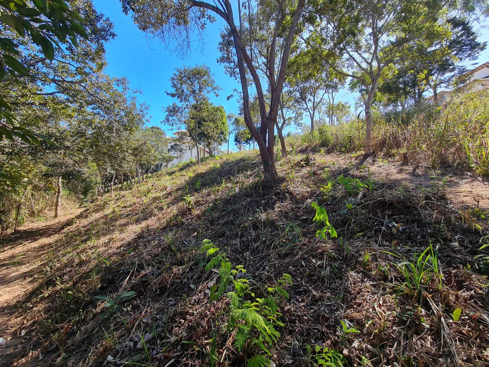 Terreno à venda, 1000m² - Foto 3