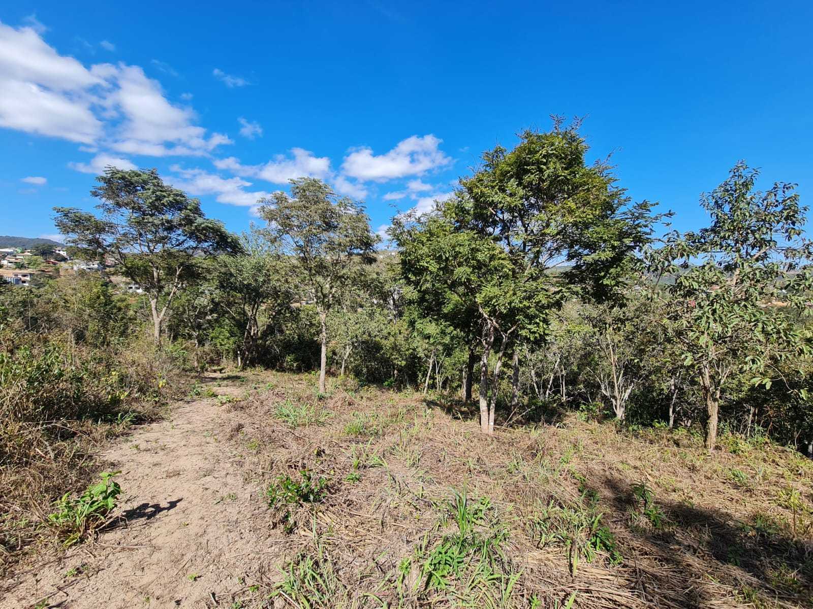 Terreno à venda, 1000m² - Foto 2