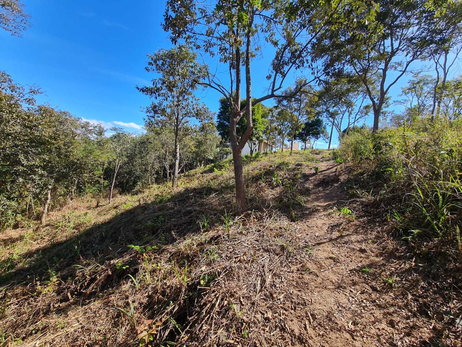 Terreno à venda, 1000m² - Foto 4