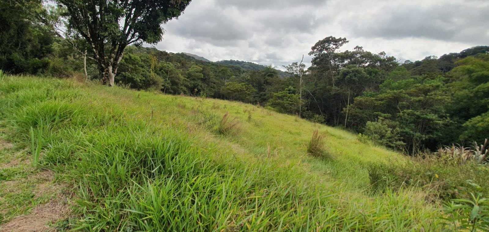 Chácara à venda com 3 quartos, 198200m² - Foto 17