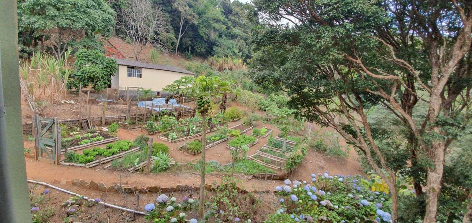 Chácara à venda com 3 quartos, 198200m² - Foto 15