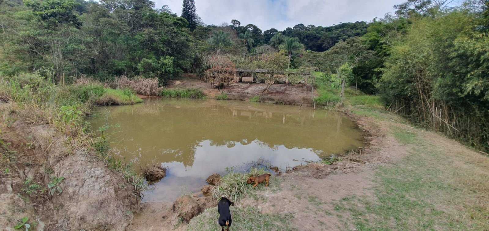 Chácara à venda com 3 quartos, 198200m² - Foto 22