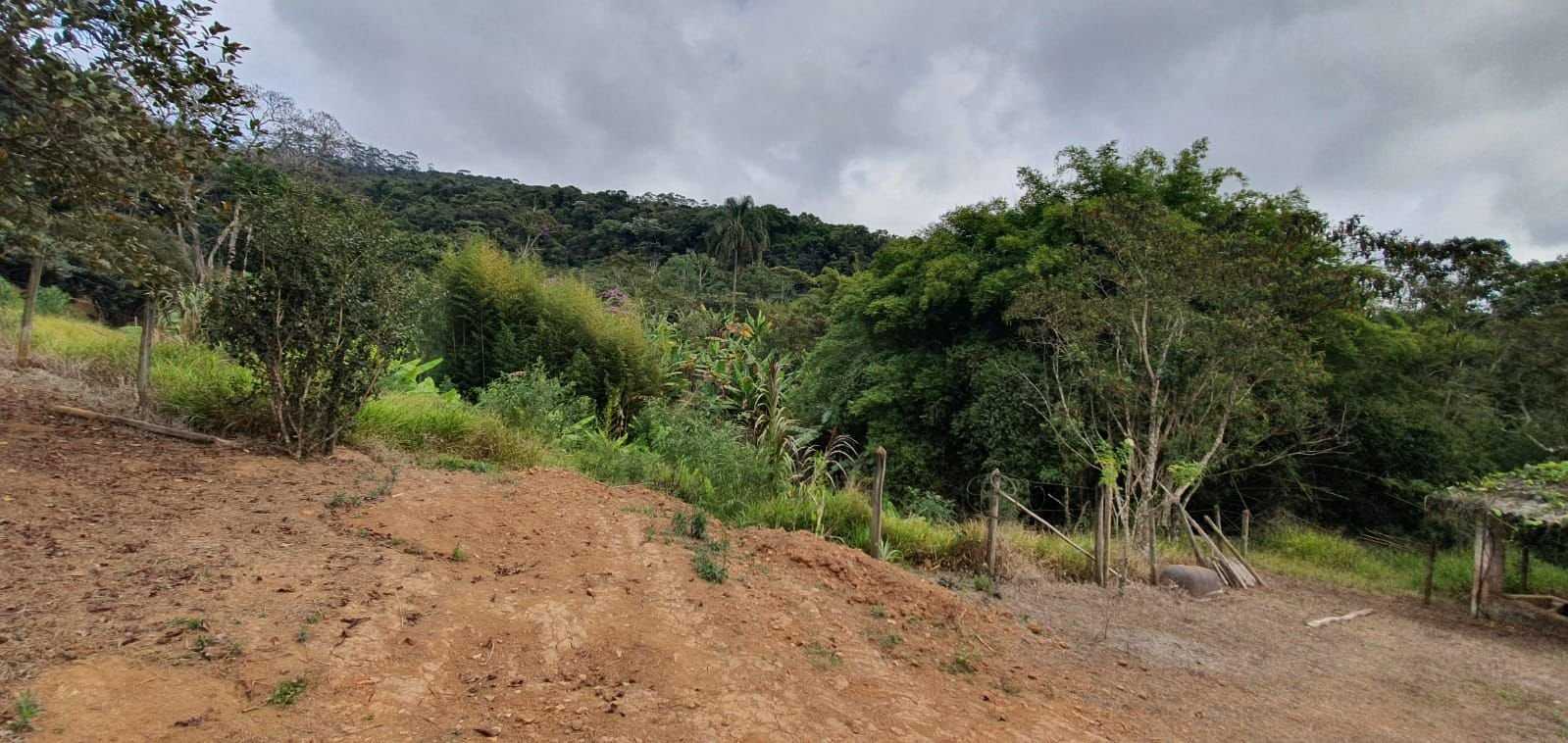 Chácara à venda com 3 quartos, 198200m² - Foto 21