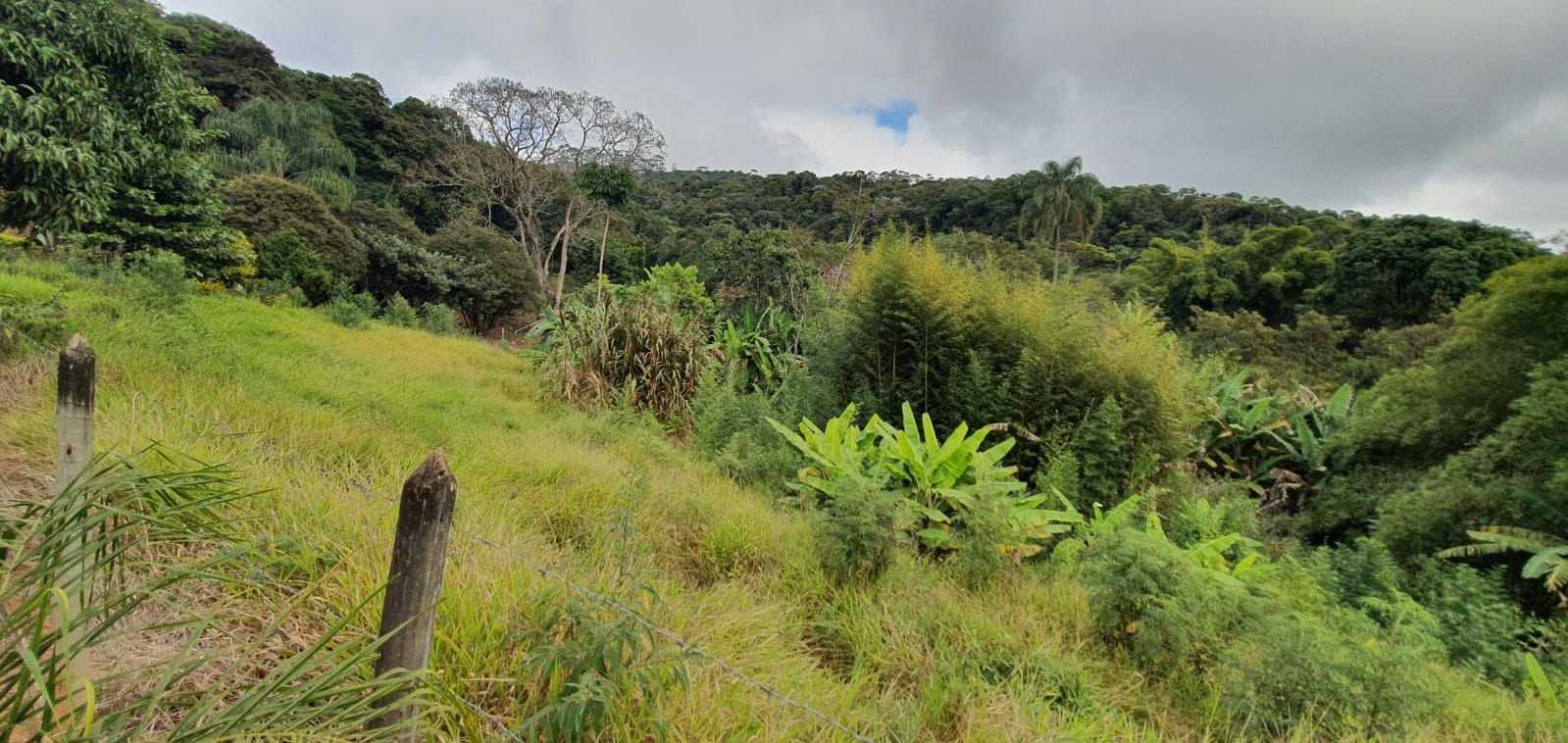 Chácara à venda com 3 quartos, 198200m² - Foto 16