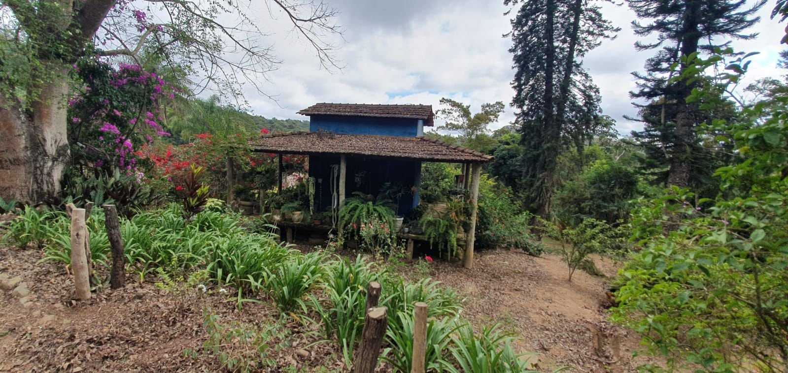 Chácara à venda com 3 quartos, 198200m² - Foto 7