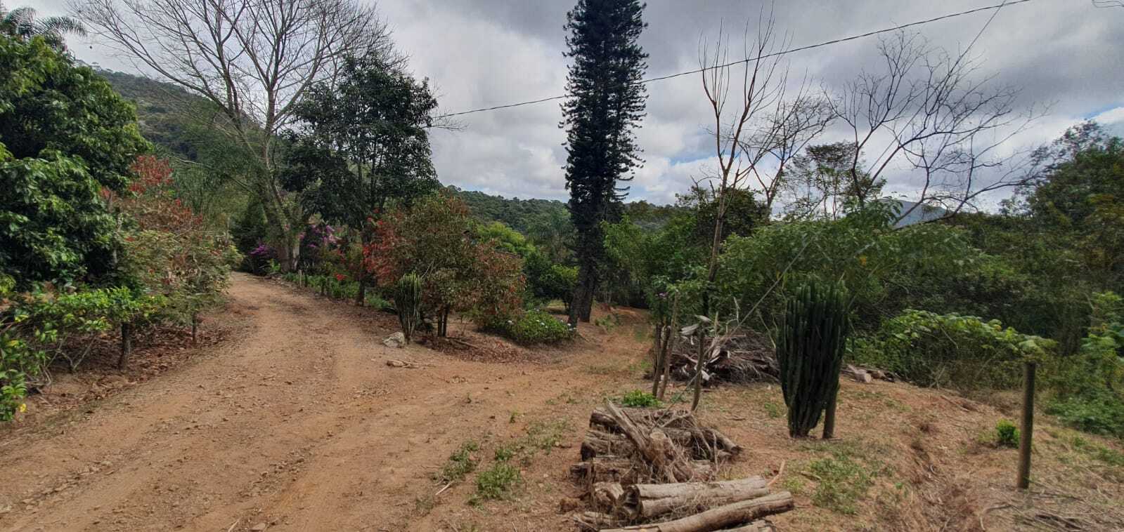 Chácara à venda com 3 quartos, 198200m² - Foto 14