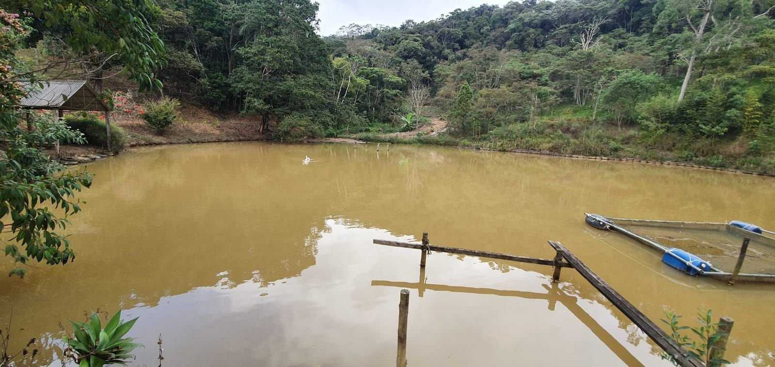 Chácara à venda com 3 quartos, 198200m² - Foto 12