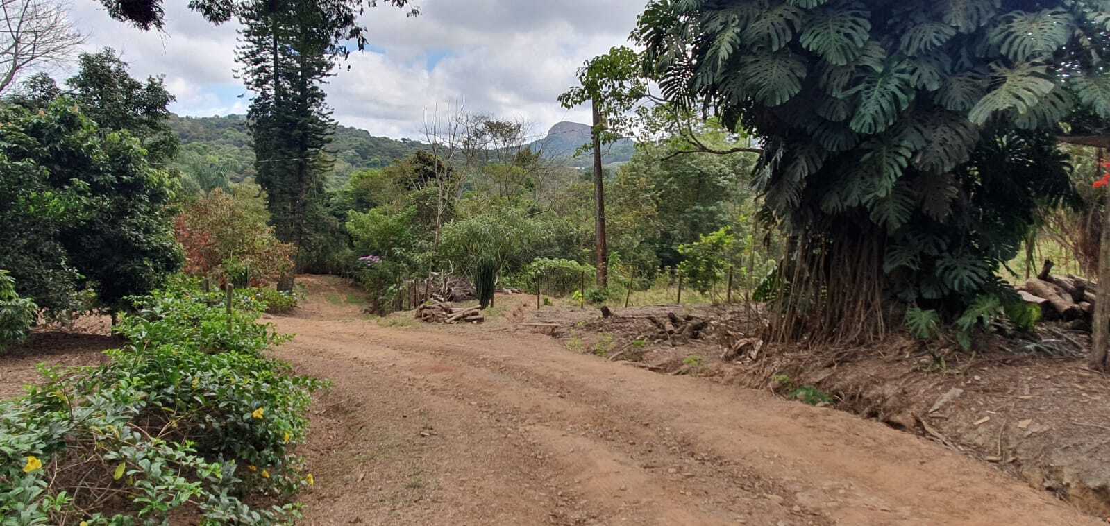 Chácara à venda com 3 quartos, 198200m² - Foto 13