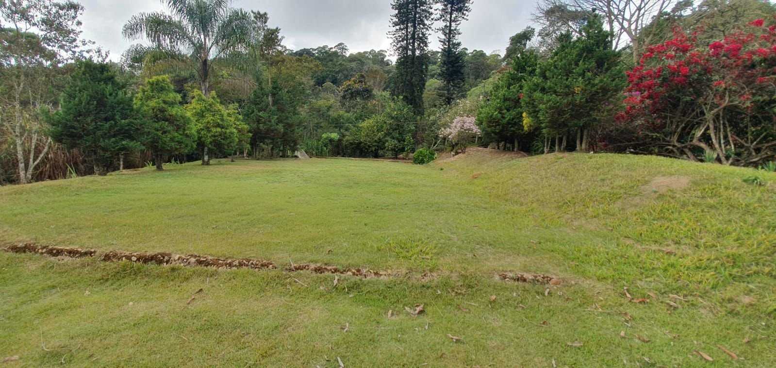 Chácara à venda com 3 quartos, 198200m² - Foto 4