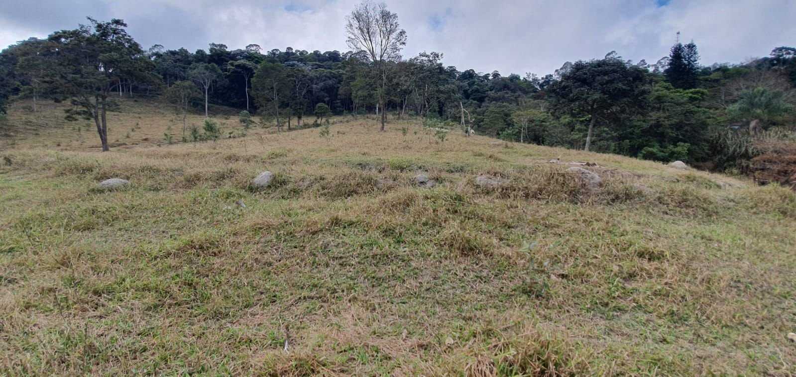 Chácara à venda com 3 quartos, 198200m² - Foto 20