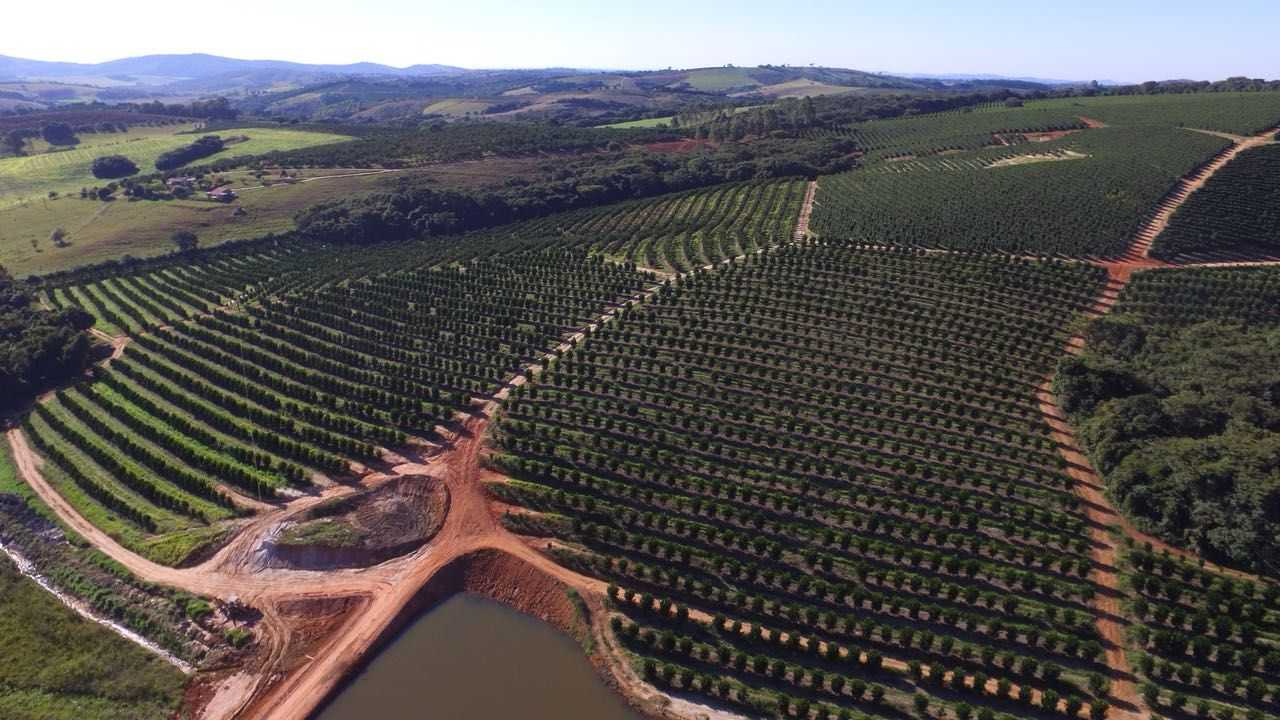 Chácara à venda com 3 quartos, 605000m² - Foto 4