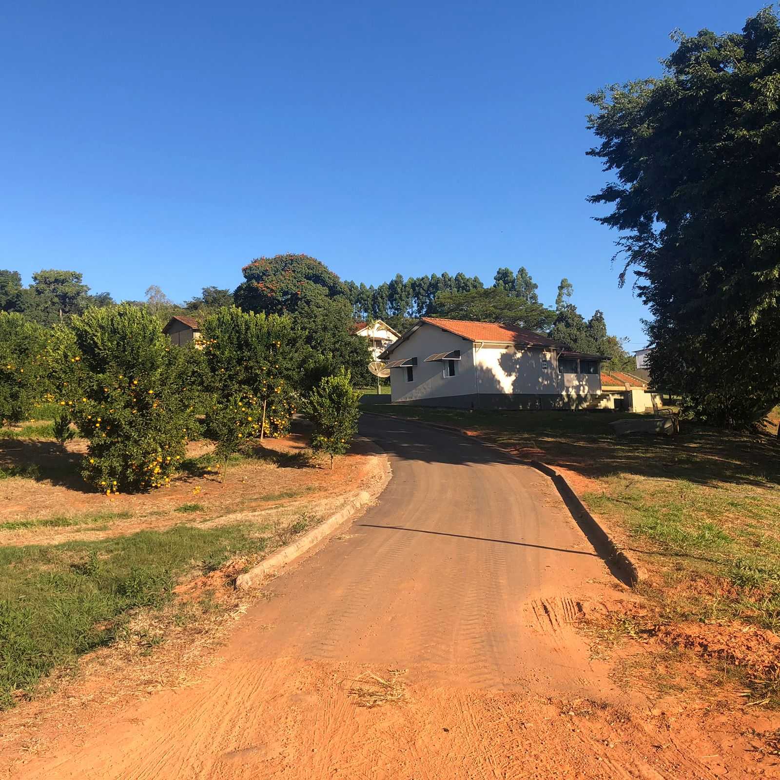 Chácara à venda com 3 quartos, 605000m² - Foto 9