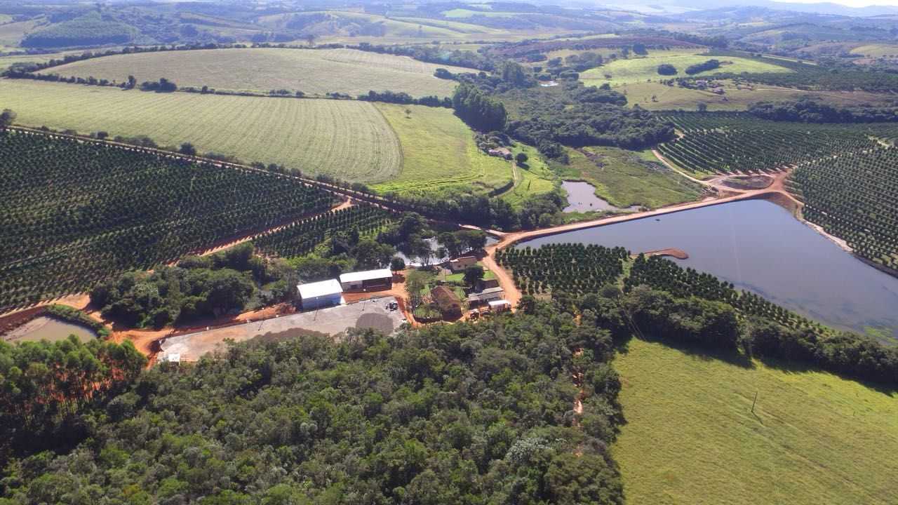 Chácara à venda com 3 quartos, 605000m² - Foto 5