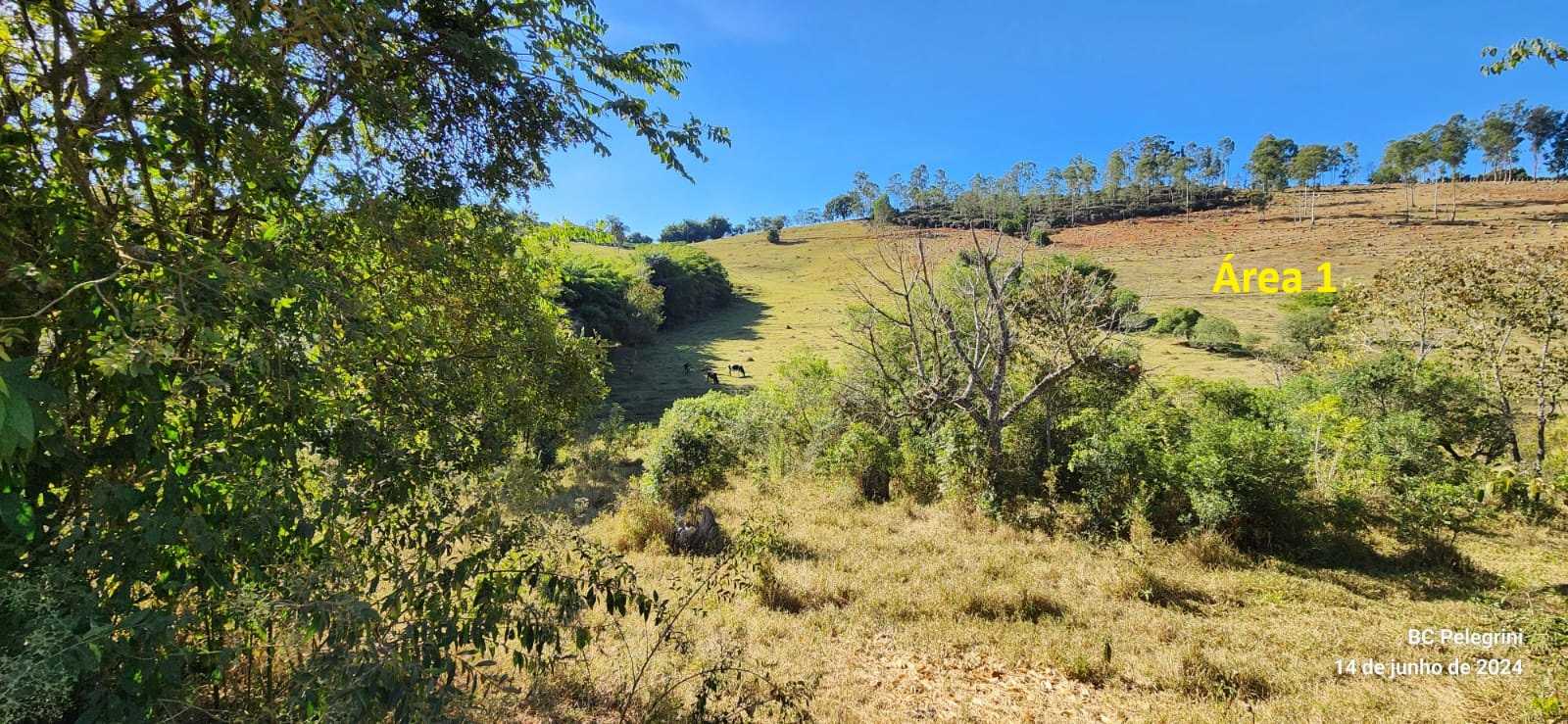 Chácara à venda com 1 quarto, 170000m² - Foto 2