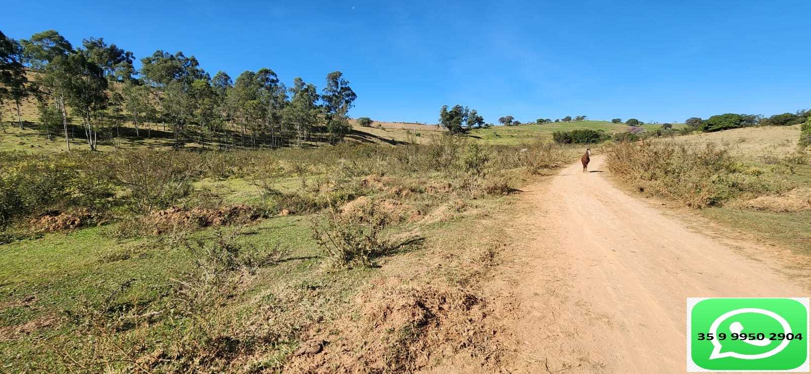 Chácara à venda com 1 quarto, 170000m² - Foto 10