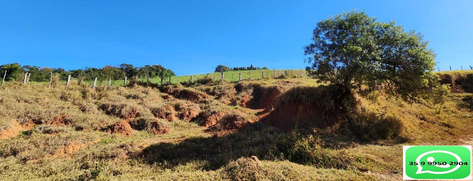 Chácara à venda com 1 quarto, 170000m² - Foto 6