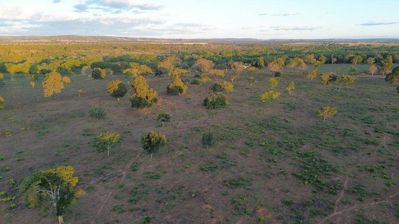 Chácara à venda com 3 quartos, 3350000m² - Foto 5