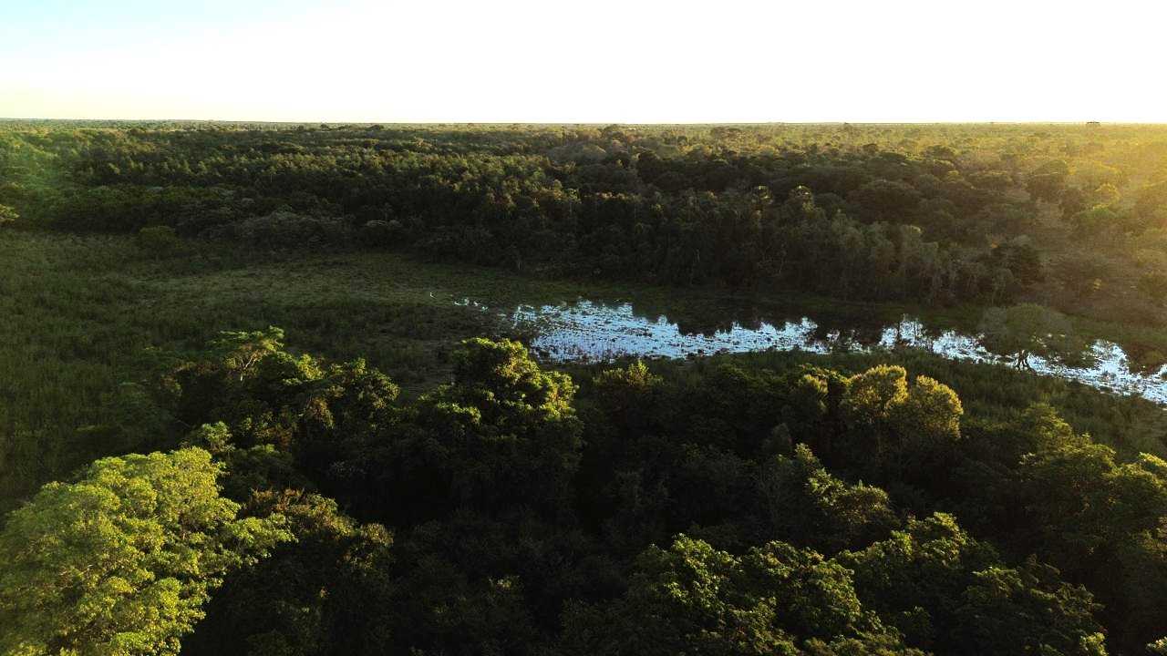 Chácara à venda com 3 quartos, 3350000m² - Foto 2