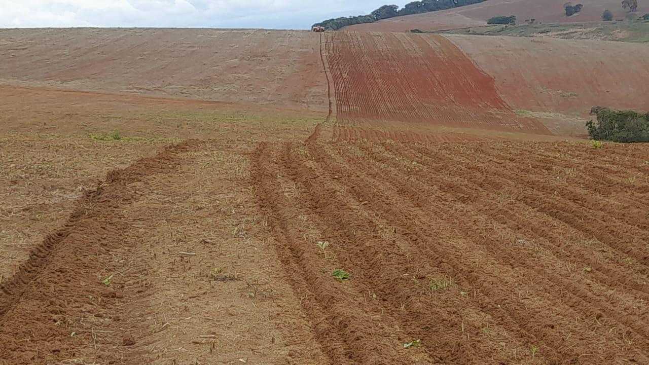 Chácara à venda com 1 quarto, 3800000m² - Foto 5