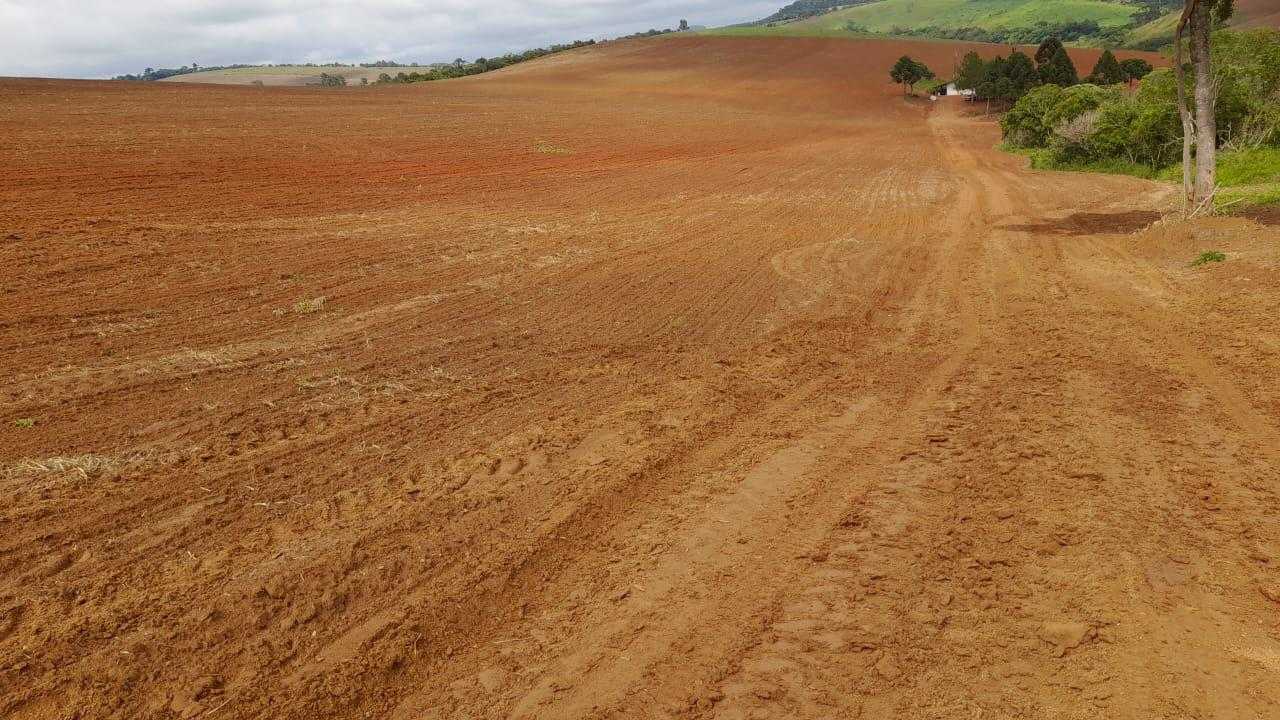 Chácara à venda com 1 quarto, 3800000m² - Foto 6