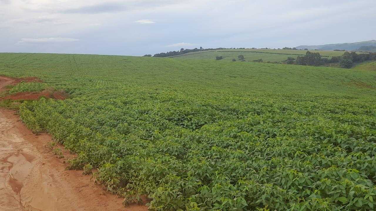 Chácara à venda com 1 quarto, 900000m² - Foto 8