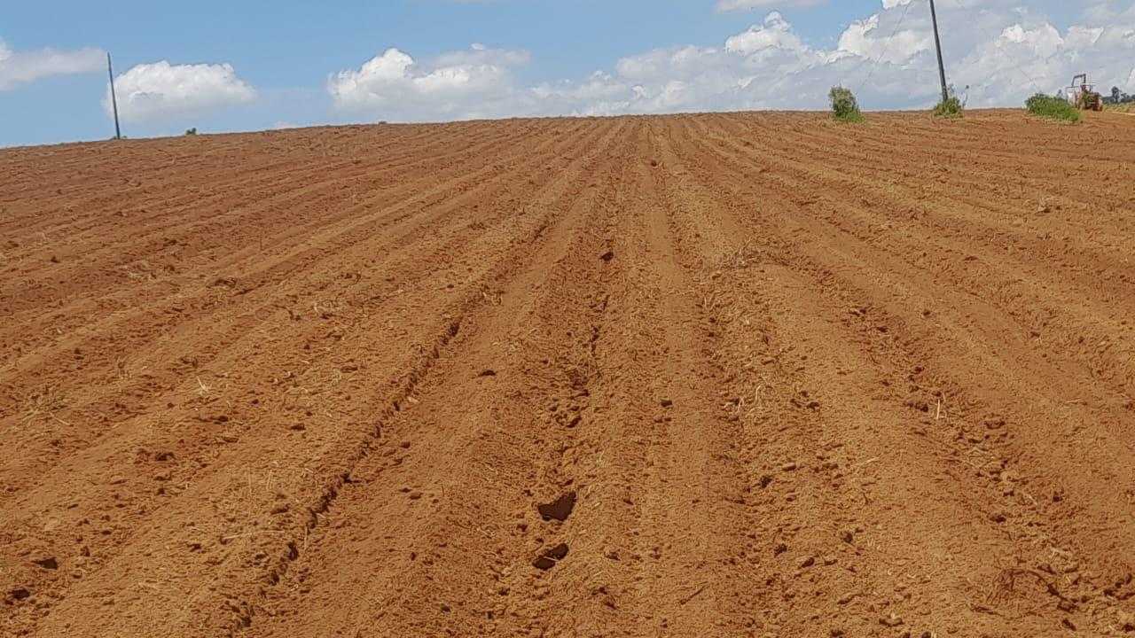 Chácara à venda com 1 quarto, 900000m² - Foto 5