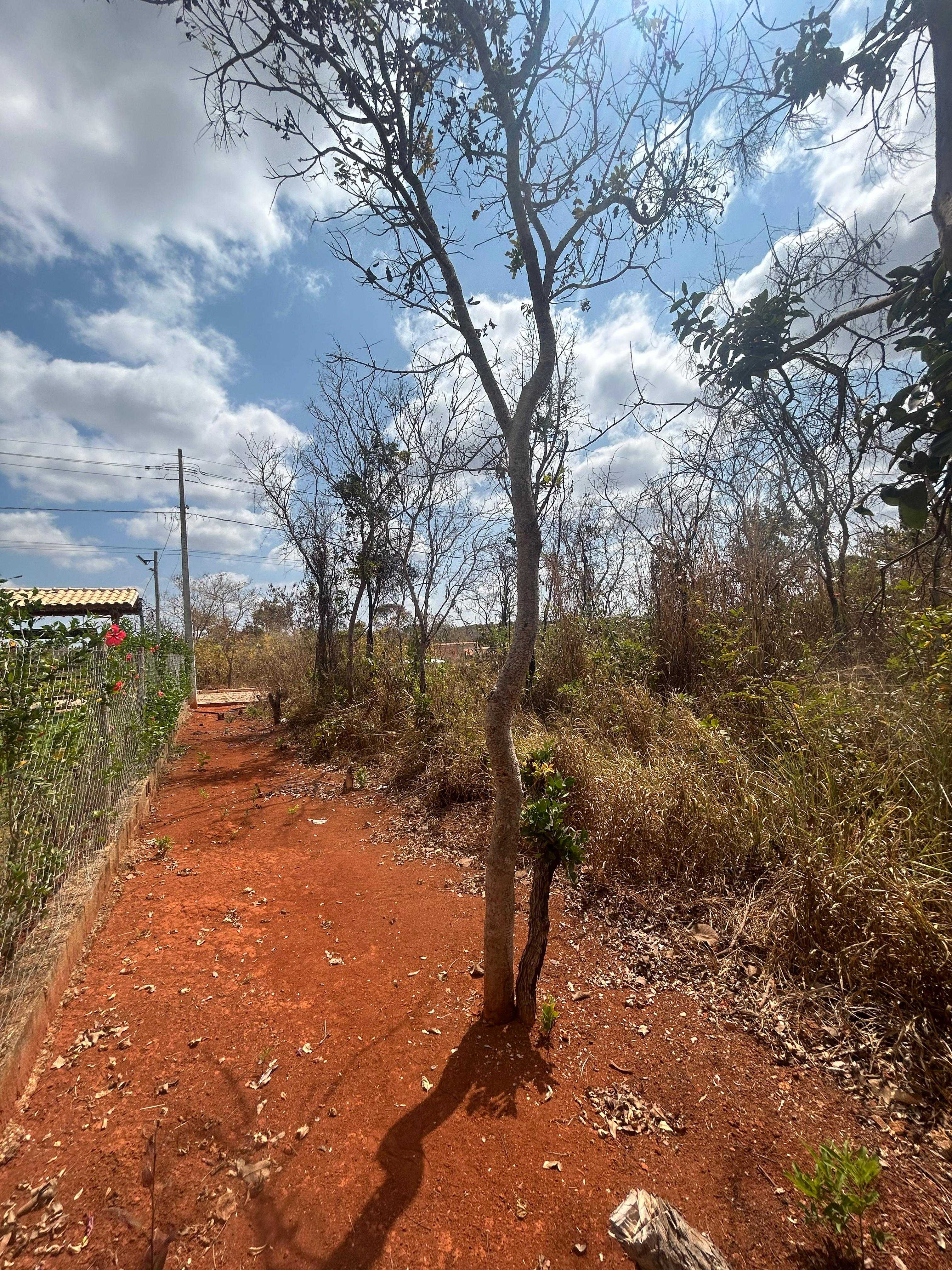 Terreno à venda, 1000m² - Foto 2