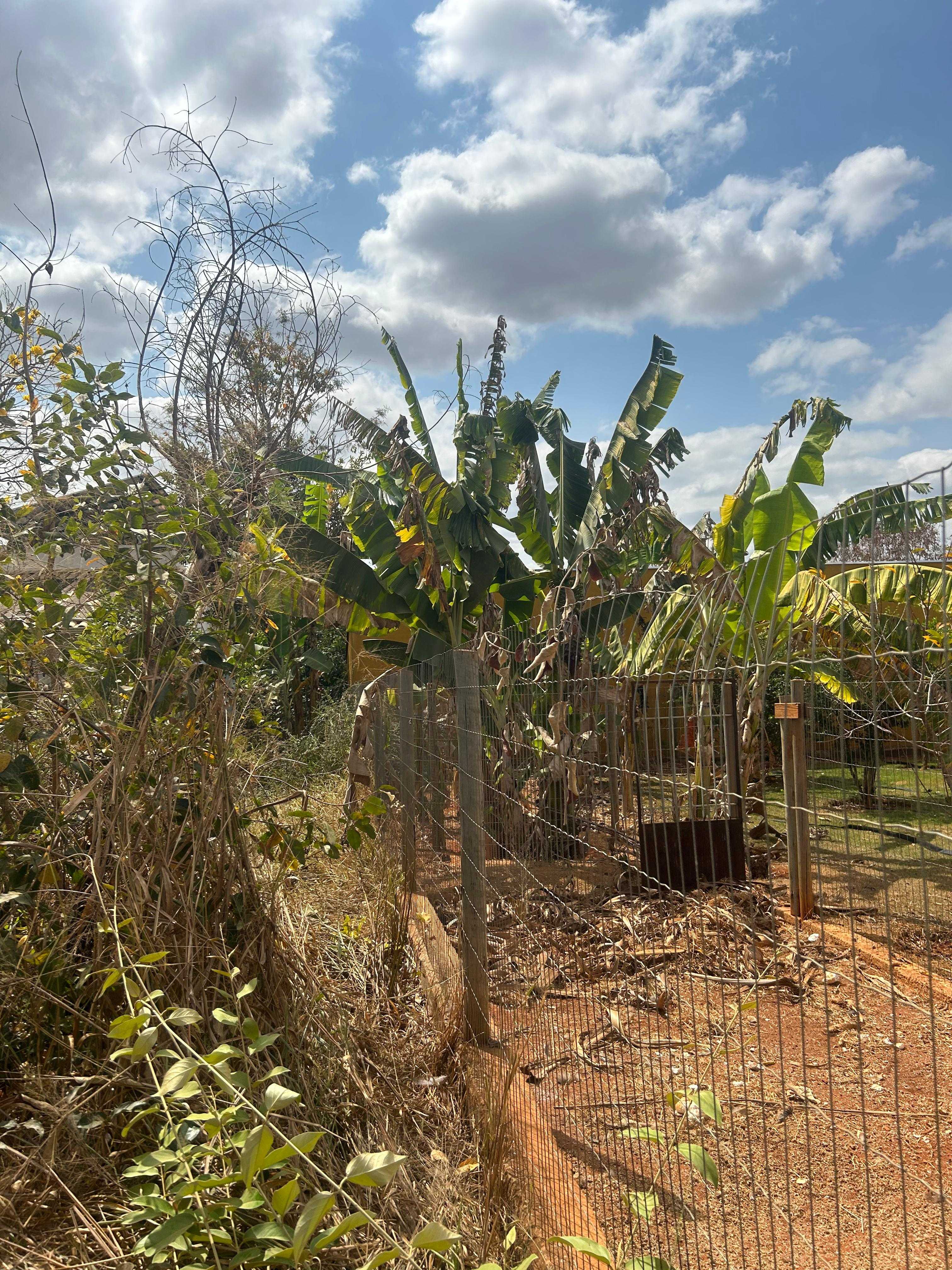 Terreno à venda, 1000m² - Foto 3