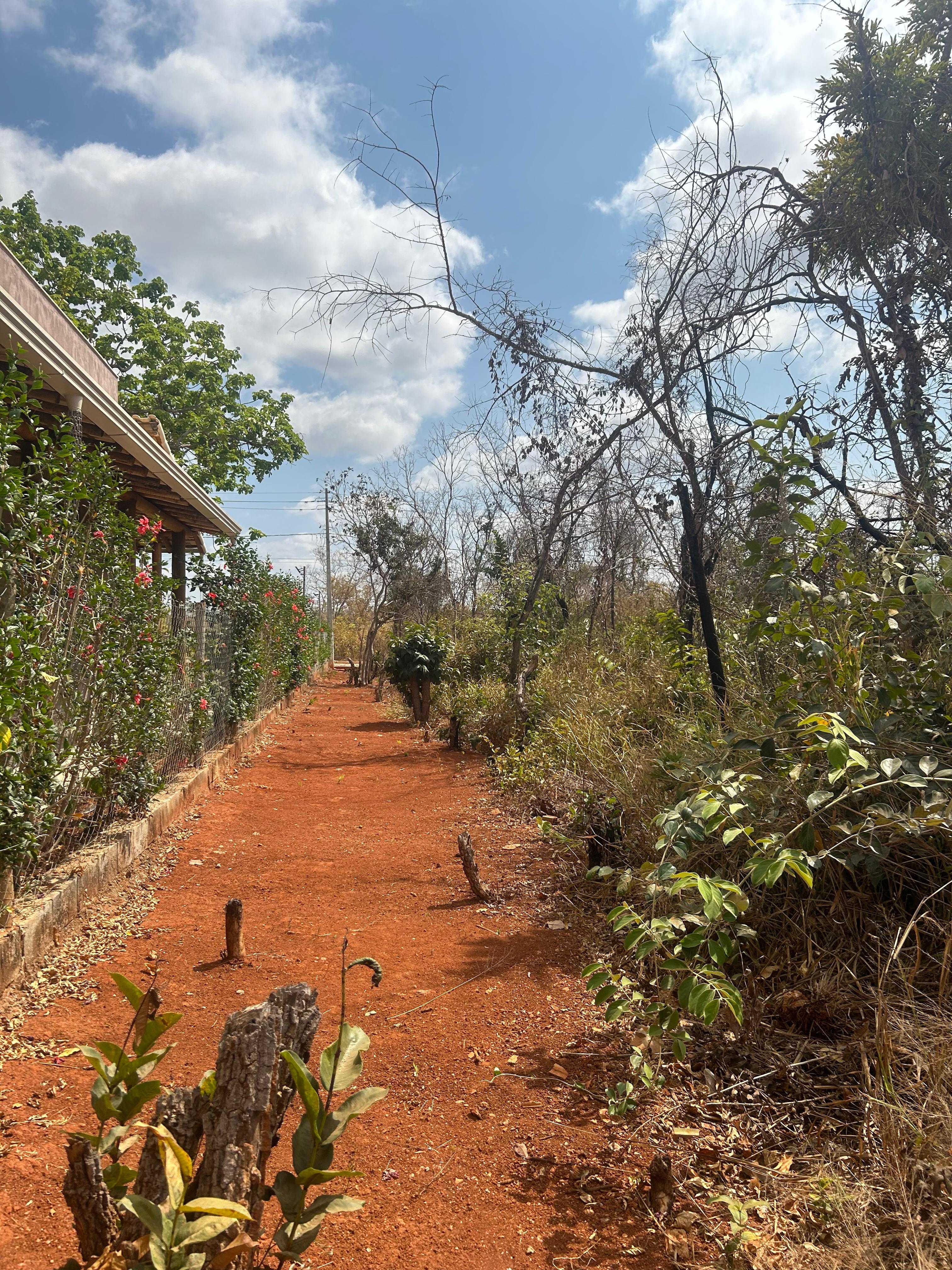 Terreno à venda, 1000m² - Foto 1