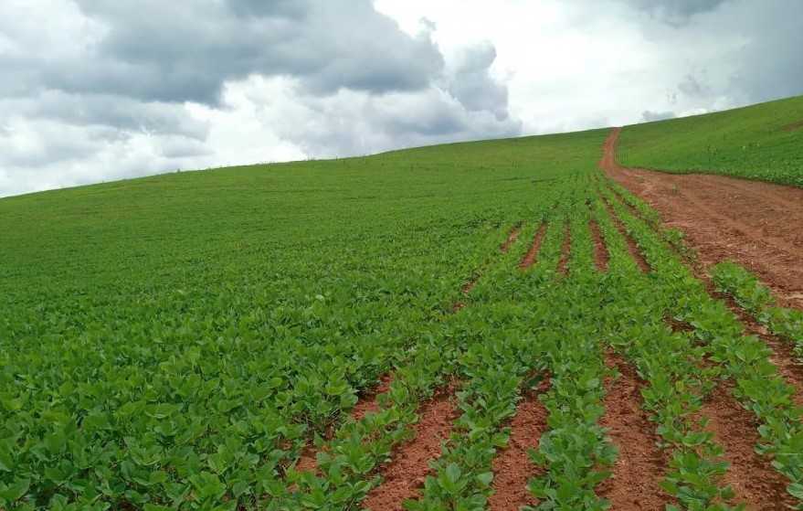 Chácara à venda com 1 quarto, 3500000m² - Foto 5