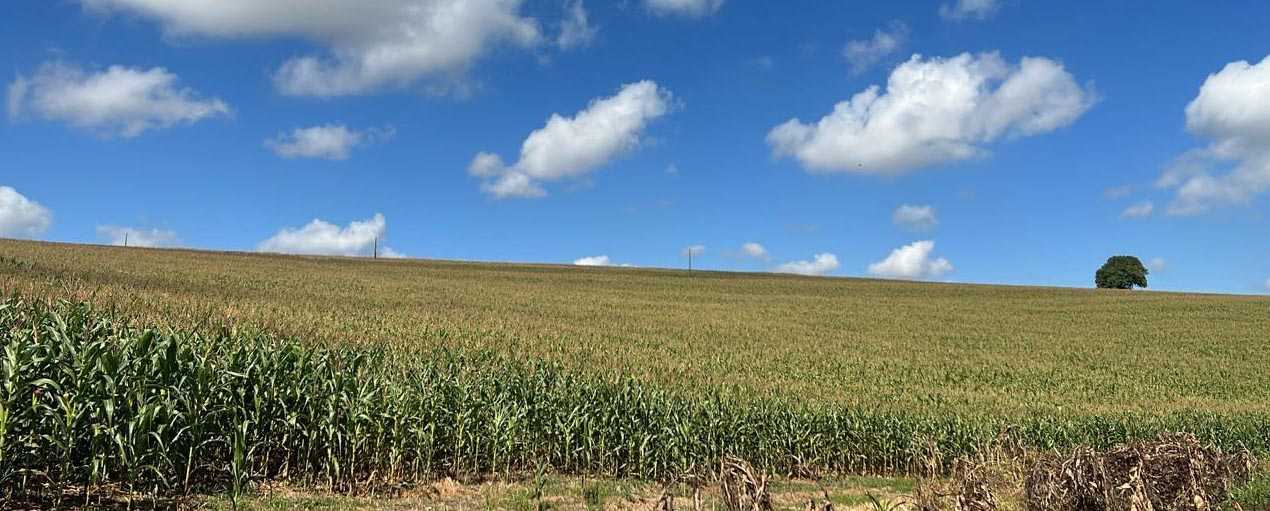 Chácara à venda com 1 quarto, 1210000m² - Foto 1