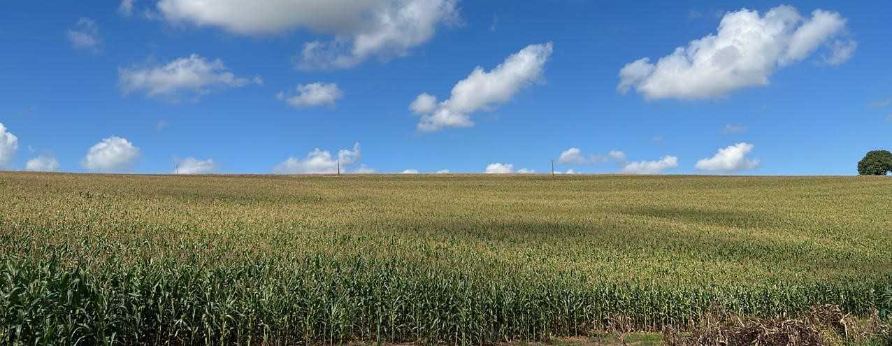 Chácara à venda com 1 quarto, 1210000m² - Foto 8