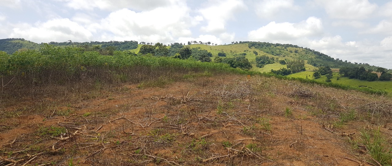 Chácara à venda com 3 quartos, 484000m² - Foto 4