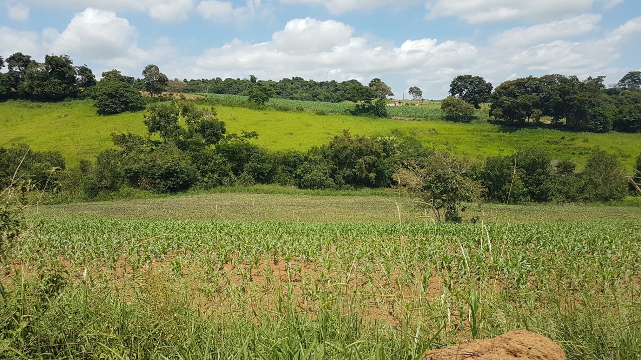 Chácara à venda com 3 quartos, 484000m² - Foto 1