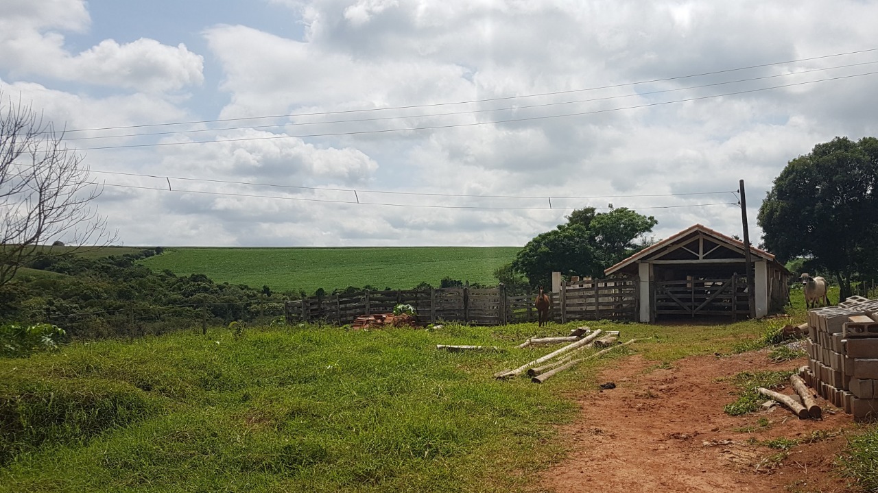 Chácara à venda com 3 quartos, 484000m² - Foto 8