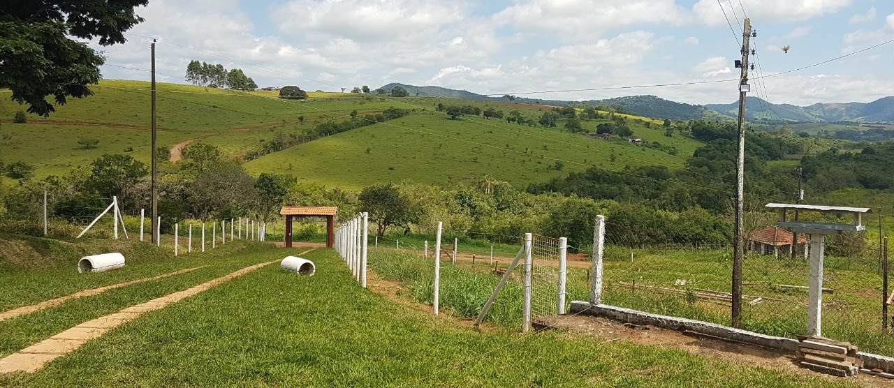 Chácara à venda com 3 quartos, 484000m² - Foto 5