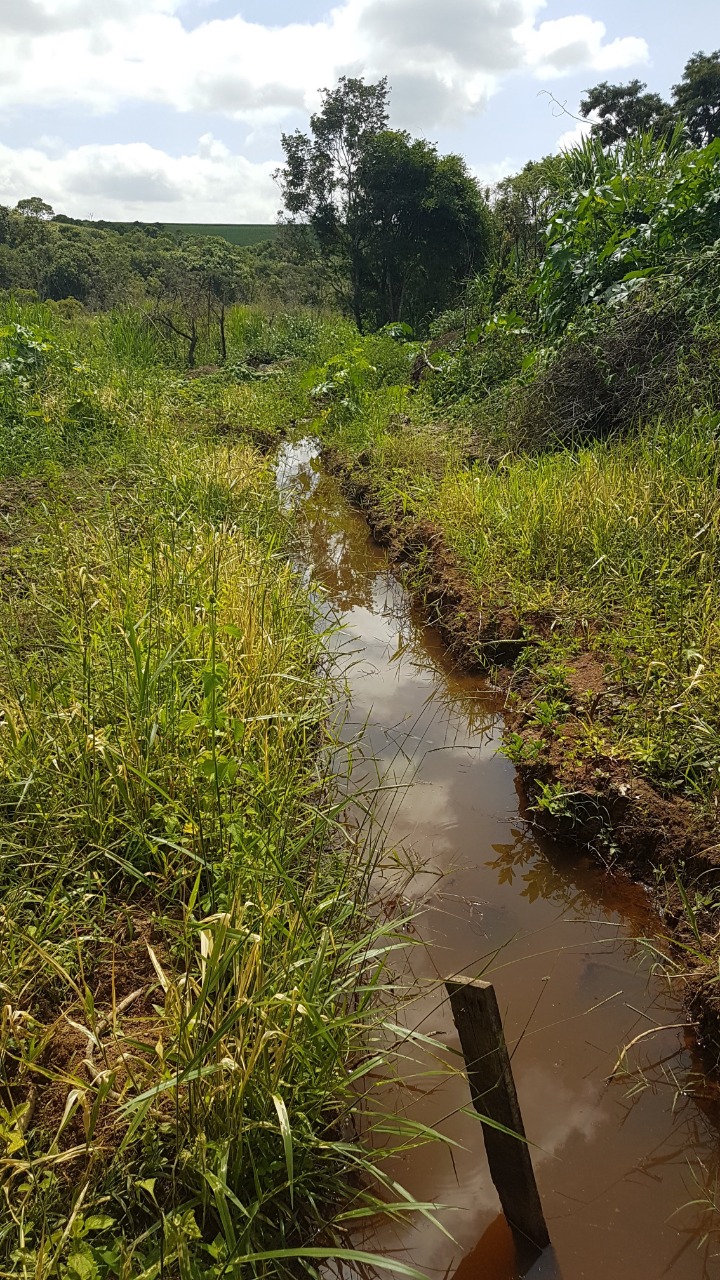 Chácara à venda com 3 quartos, 484000m² - Foto 19